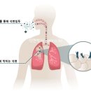 베스토스 이미지