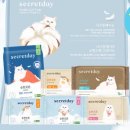 시크릿 플레이스 이미지