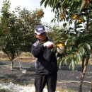 태선농장 이미지