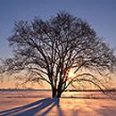 그래미의원 이미지