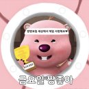 펀키즈유치원 이미지