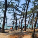 선두바다캠핑장 이미지