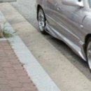 유로테크 이미지