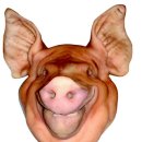 예쁜돼지 이미지