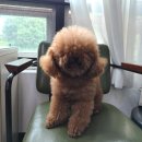 광여로 이미지
