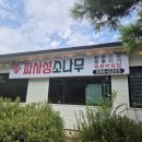 파사성 소나무 이미지