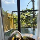 몽키세탁소 이미지