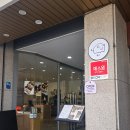 동명동 나른한 오후 | 동명동 돼지국밥 맛집 동국 혼밥하기 좋은 식당 내돈내산