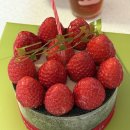 투썸플레이스서울대역중앙점