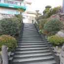 게코스
