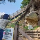 동로치안센터 이미지