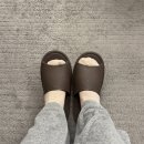 닥터메디언스 대전두피