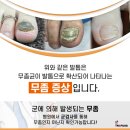 레푸스 여의도점