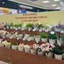 [내돈내산] 연수구 꽃집은 여깁니다 여러분, 찾아헤매지마세요 &#39;플라워 슈퍼마르쉐&#39;