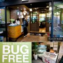 참광양불고기 이미지