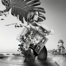 블루베이 이미지