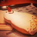 콧대높은 개 이미지