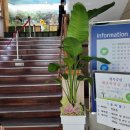 주식회사 한국지엠증평서비스센터 | 증평 재난지원금 신청방법 및 재난지원금 사용처 알아볼까요?