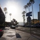 라호야(LA JOLLA) 이미지