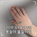 봉숭아손톱 | 아이랑 다이소 봉숭아 물들이기 후기(지속력+꿀팁)