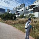 (주)글로벌월드 | BTS 월드투어 시작 정규5집 아리랑 발매｜부산 콘서트 호텔 숙소 예약