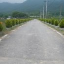 계곡면사무소 이미지