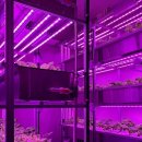 도전농장 이미지