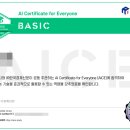 11545-10-25-24 | AICE Basic ('25. 10. 24 , 16시 시험) 후기