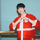 보오 이미지