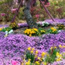 서산중앙병원 이미지