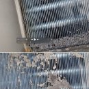삼성프로세탁 | 삼성 Bespoke AI 콤보 WD90H25AHY 후기