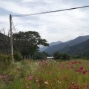 본동민박 이미지