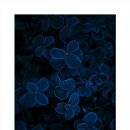 남포미술관 이미지