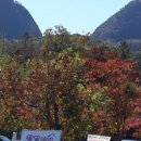 유희농장 이미지