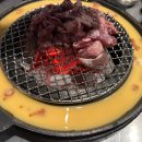 신마포갈매기 이미지