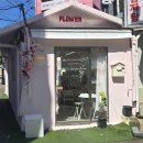 러비더비 | 혜화역꽃집 러비더비 플라워｜엄마 생일 꽃다발 예약 후기, 플라워디렉팅 추천 🌷
