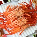 대게타운 이미지