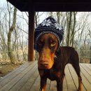 리노다방 이미지