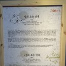여심좌훈 이미지