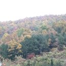 세례자요한의집 뒷베란다에서 바라본 개미골의 아름다운 가을풍경 2013.11.24 오후시간 이미지