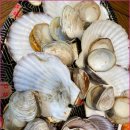 가락횟집 이미지