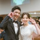 그린티스냅 이미지
