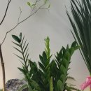 명지본튼튼의원 네이버블로그
