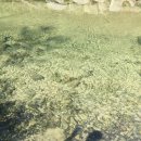 조산 야영장 화장실 | [관악산-삼성산 트레킹] 20170826