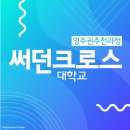 써던크로스 이미지