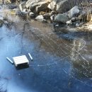 나무사이에 자연속으로 이미지