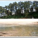 베이테라스 이미지