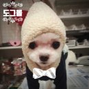 동하몰 이미지