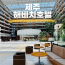 놀고팡 | 제주도 호캉스 해비치호텔 제주 가족여행 숙소 추천