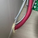 7번가피자춘천점 이미지